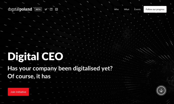 DigitalPoland digital CEO initiative cover